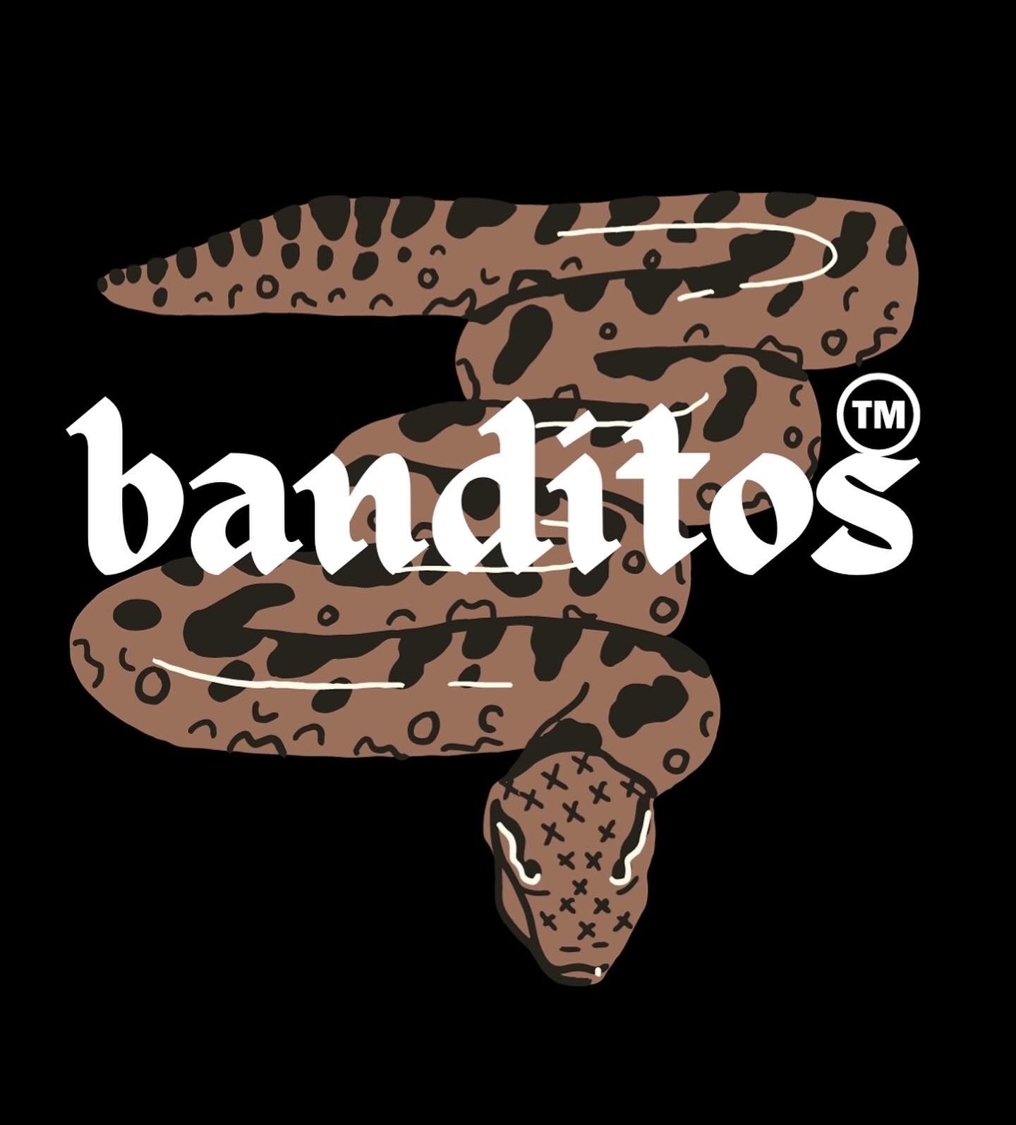 BANDITO SERPIENTE CAMISETA